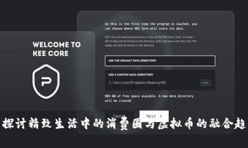 : 探讨精致生活中的消费圈与虚拟币的融合趋势